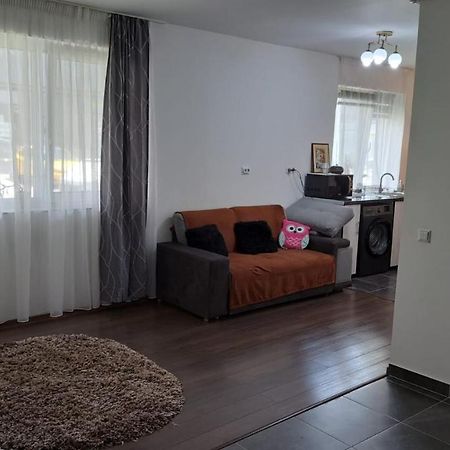 Cozy Nest Apartment Sinnicoara Exterior foto