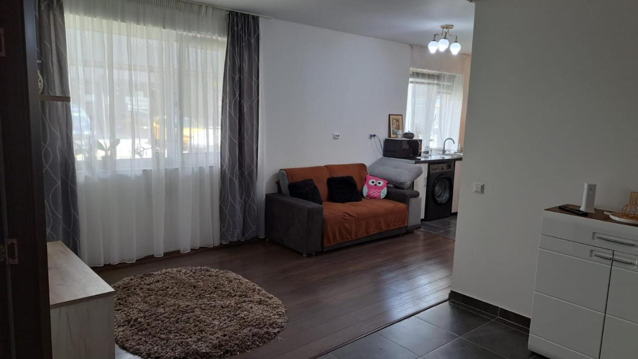 Cozy Nest Apartment Sinnicoara Exterior foto