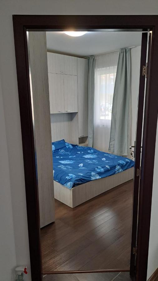 Cozy Nest Apartment Sinnicoara Exterior foto